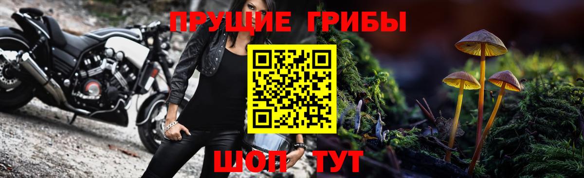 Галлюциногенные грибы Magic Shrooms  Вход с VPN  Волхов 